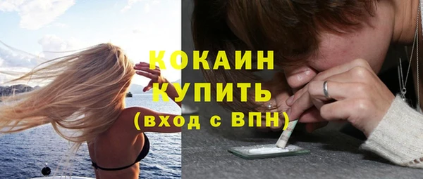 дмт Новокубанск
