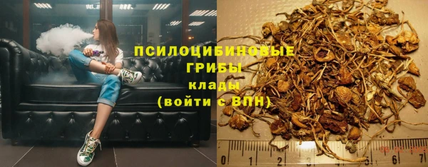 прущая мука Новодвинск