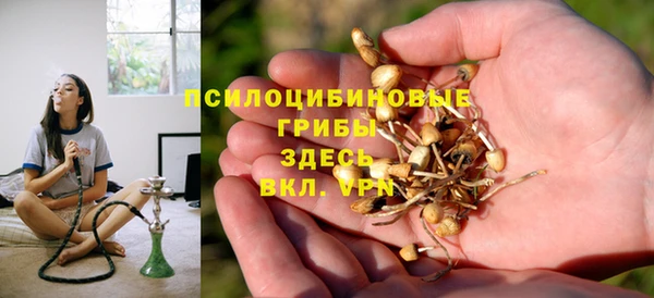 прущая мука Новодвинск