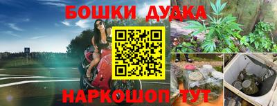 гидропоника Гатчина