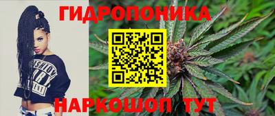 гидропоника Гатчина