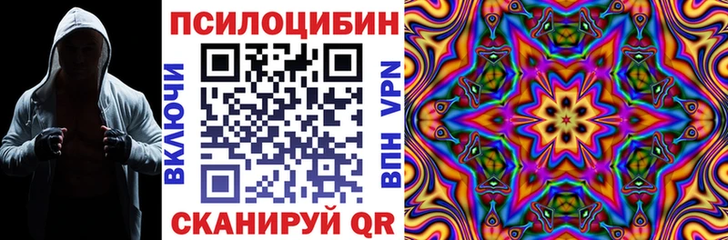 Псилоцибиновые грибы Psilocybe  Кулебаки 