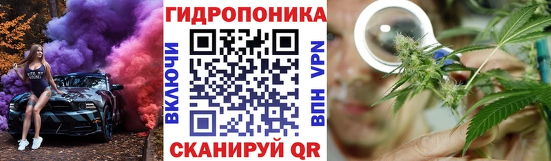 Шишки марихуана Ganja Кулебаки